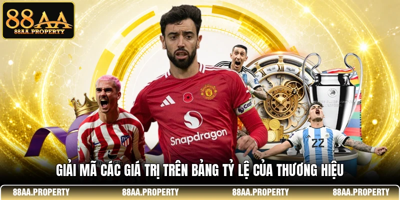 Giải mã các giá trị trên bảng tỷ lệ của thương hiệu 