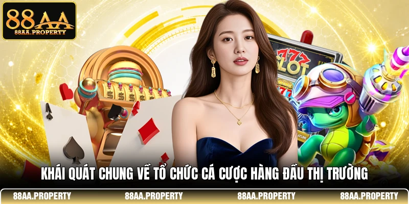 Khái quát chung về tổ chức cá cược hàng đầu thị trường